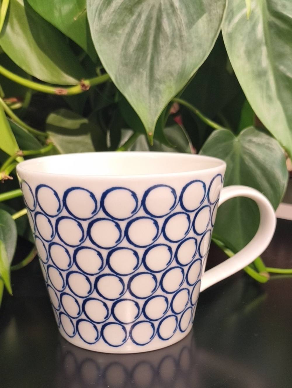 Royal Doulton Pacific Circles Porcelain Mug EUC